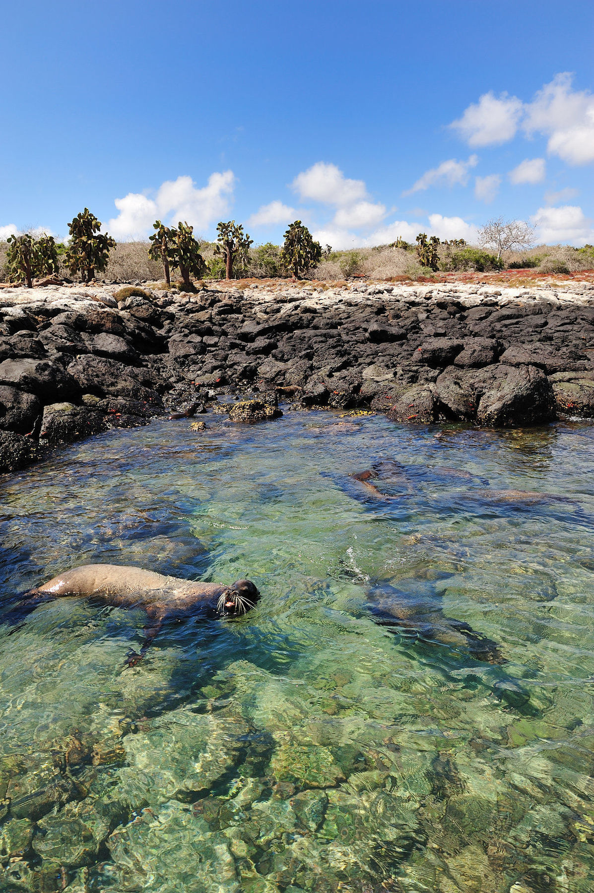 Santa Cruz Island Pikaia Lodge מראה חיצוני תמונה