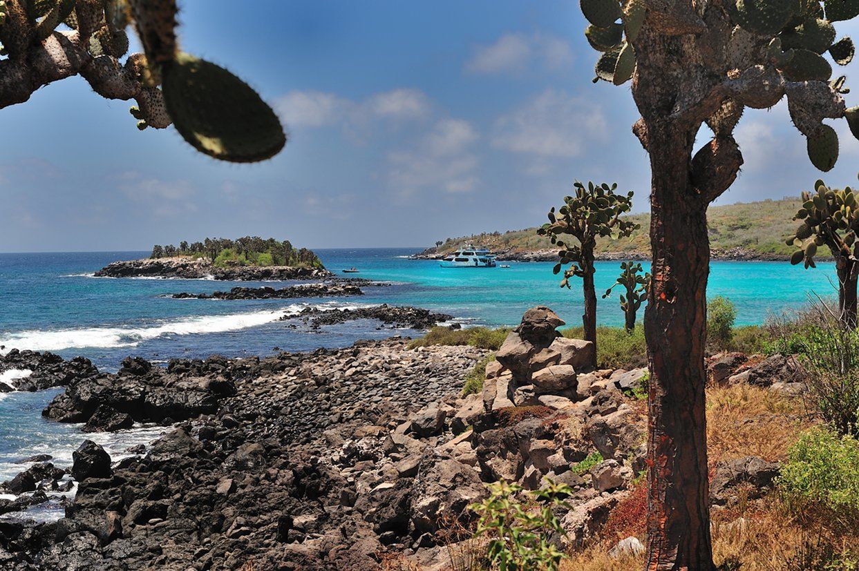 Santa Cruz Island Pikaia Lodge מראה חיצוני תמונה